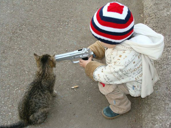 Gun And Cat