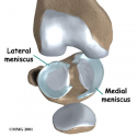 Meniscus